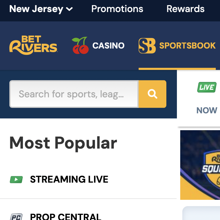 Betrivers Online SportsBook Review